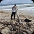 island_local_save_turtle_mar4-016