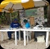island_local_save_turtle_mar4-017