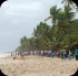 island_local_save_turtle_mar4-020