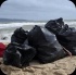 island_local_save_turtle_mar4-021