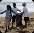 island_local_save_turtle_mar4-023