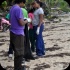 island_local_save_turtle_mar4-032
