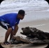 island_local_save_turtle_mar4-063