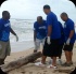 island_local_save_turtle_mar4-065