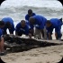 island_local_save_turtle_mar4-070