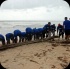 island_local_save_turtle_mar4-071