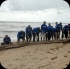 island_local_save_turtle_mar4-072