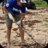 island_local_save_turtle_mar4-074