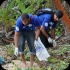 island_local_save_turtle_mar4-078