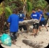 island_local_save_turtle_mar4-082