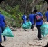 island_local_save_turtle_mar4-089