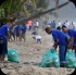 island_local_save_turtle_mar4-090
