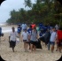island_local_save_turtle_mar4-106