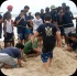 island_local_save_turtle_mar4-113