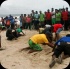 island_local_save_turtle_mar4-114