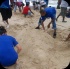 island_local_save_turtle_mar4-115