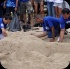island_local_save_turtle_mar4-116