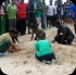 island_local_save_turtle_mar4-118