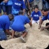 island_local_save_turtle_mar4-120
