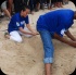 island_local_save_turtle_mar4-122