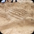 island_local_save_turtle_mar4-126