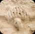 island_local_save_turtle_mar4-127