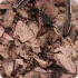 island_people_yeah_2012-057