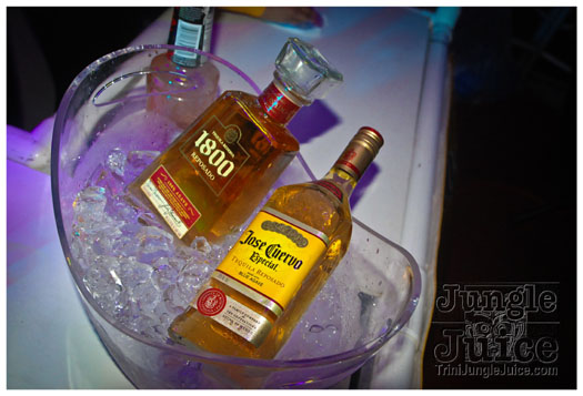 pure_2012-040