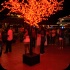 sos_2012-060