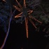 south_cancer_feb4-001