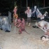 spooked_2012-004