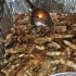 st_francois_all_inclusive_2012-089