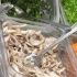 the_resolution_2012_jan1-031