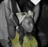 accba_atlanta_jouvert_2013-055