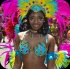 atlanta_parade_of_the_bands_2013_pt1-111