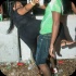 baje_jouvert_aug2-069