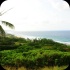 beach_house_bim_2013-031