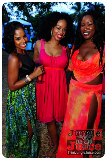 bliss_2013_pt1-043