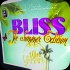 bliss_2013_pt2-110