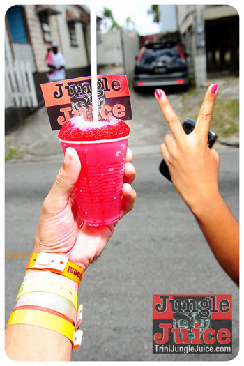 kadooment_day_2013_pt1-300