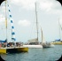 limerz_cruise_aug4-060