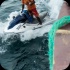 roast_cruise_stumblin_2013_pt3-122