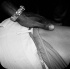 frenzy_miami_2013-154