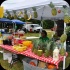 houston_parade_2013-021
