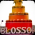 sugarcanes_blossom_may26-063