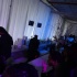 sugarcane_sparkle_2013-007