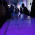 sugarcane_sparkle_2013-014