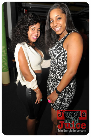 verve_2013-087