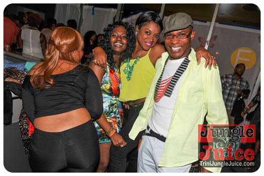 verve_2013-093
