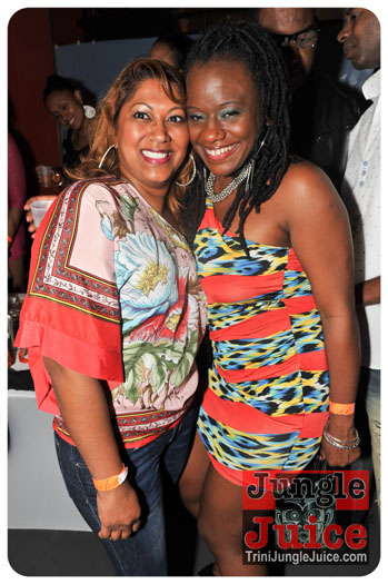 verve_2013-100
